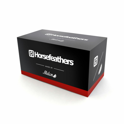 Очки горнолыжные Horsefeathers PARKER GOGGLES (black brush)