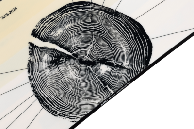 Сноуборд Joint WOODWORKS 2025/26 от магазина Адреналин