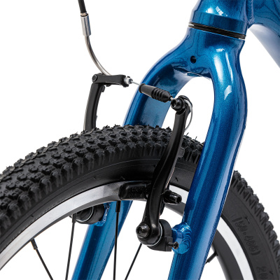 Детский велосипед Welt  Moovix 1.0 20 V Electric Blue от магазина Адреналин
