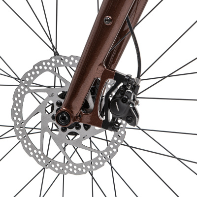 Городской велосипед Welt Stroke 2.0 Urban Bronze от магазина Адреналин